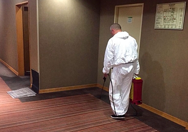 Огнезащитная обработка ковровых покрытий в гостиницах г. Москвы